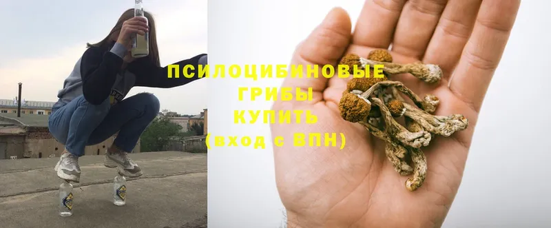 Галлюциногенные грибы Magic Shrooms  OMG ССЫЛКА  Лангепас 